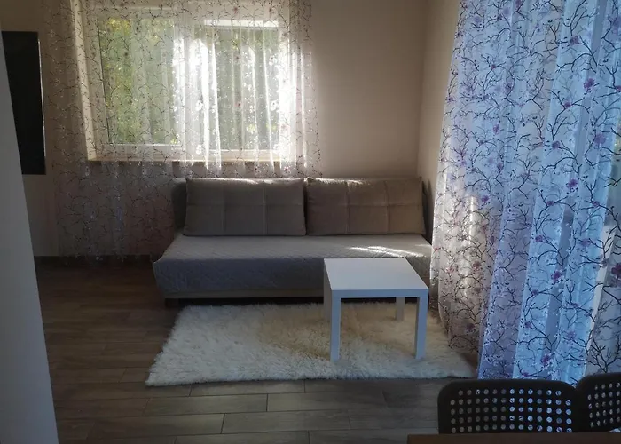 Kristinos * Druskininkai