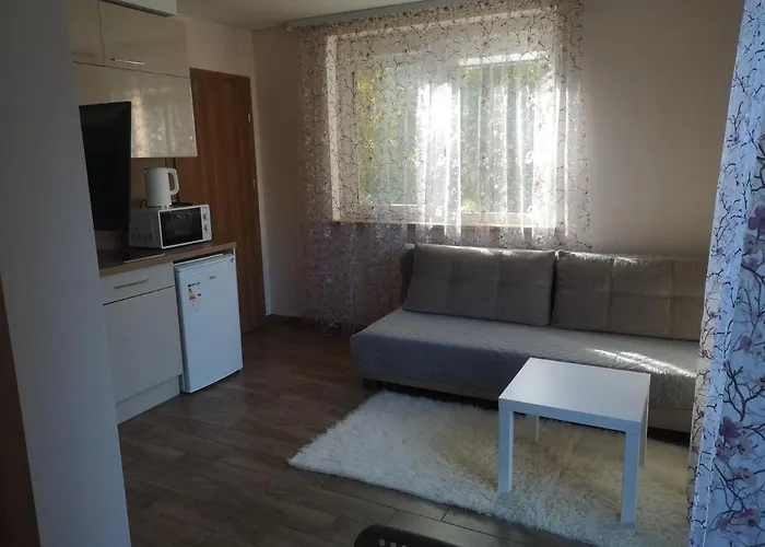 Kristinos Apartment Druskininkai